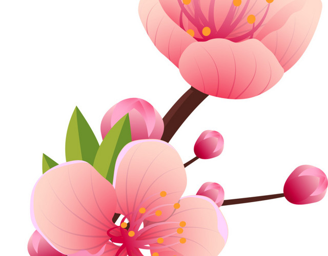 盛开的桃花