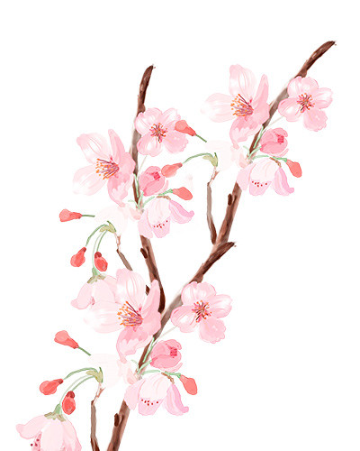 手绘桃花