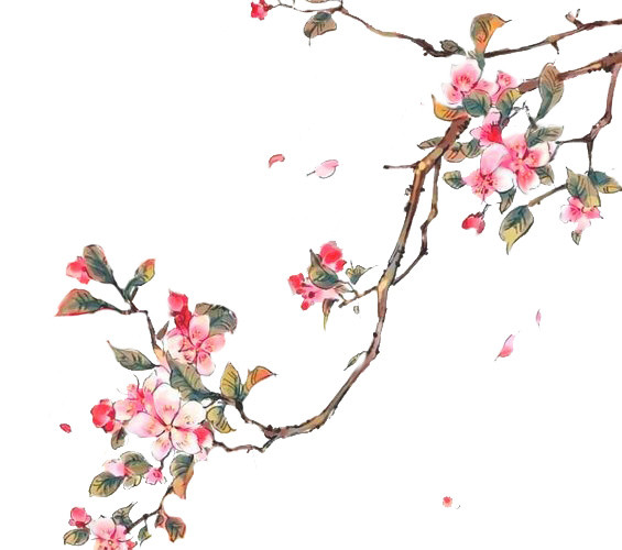 手绘桃花花枝