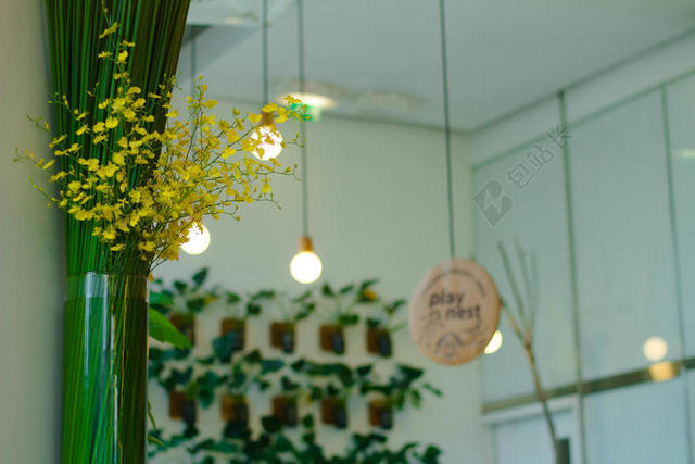 绿色室内纹理有植物装饰的室内背景图片