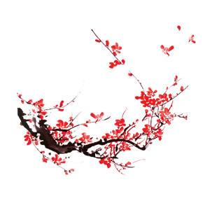 中国风红色腊梅雅致背景素材