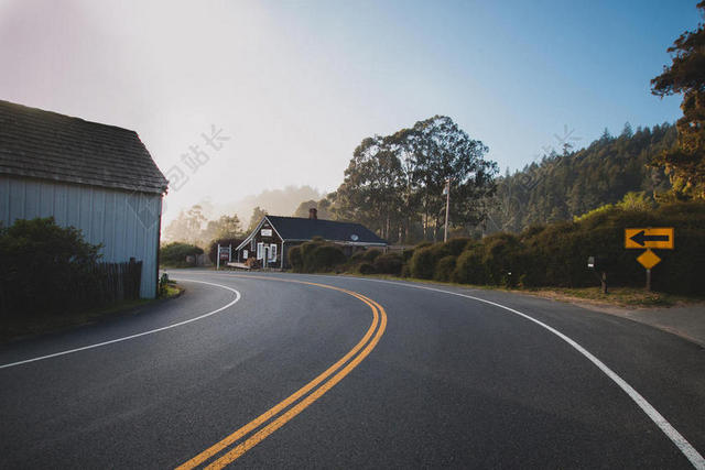 沥青 - 柏油路 - 灌木丛 - 曲线 - 日光 - 道路 - 风景