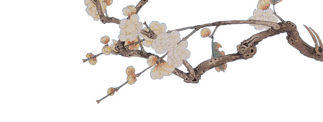 中国风鸟儿站于枝头的梅花背景素材
