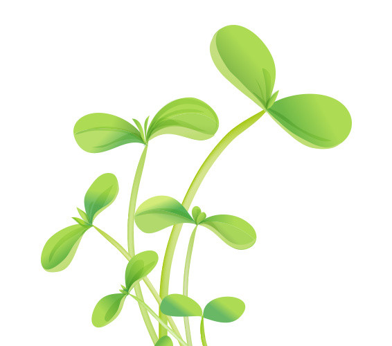 小清新绿色带根的小树苗植树节元素设计