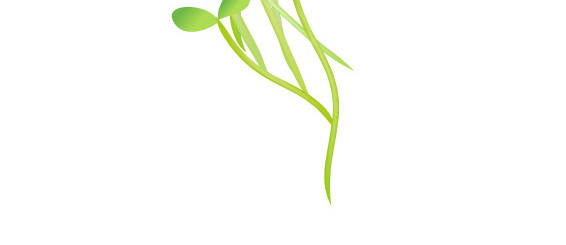 小清新绿色带根的小树苗植树节元素设计