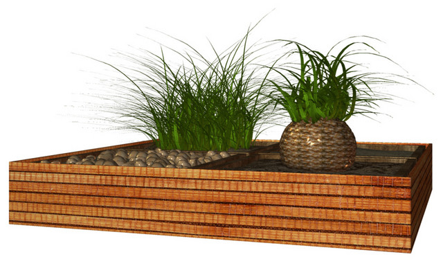 植物实拍外散型常青绿植盆栽素材