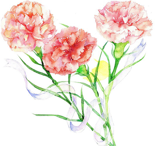 鲜花免抠素材