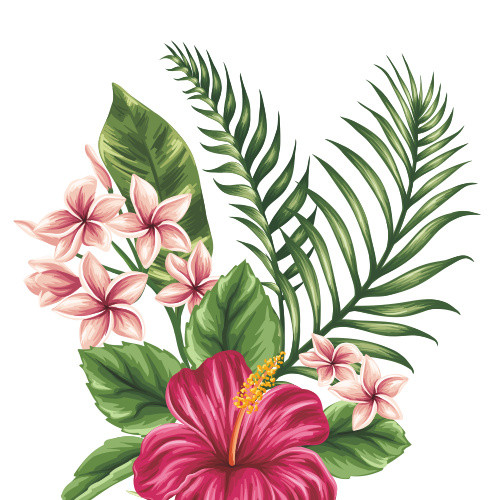 水彩花卉装饰素材