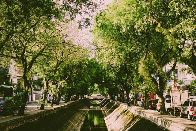 绿色户外自然林间的沟渠背景图片