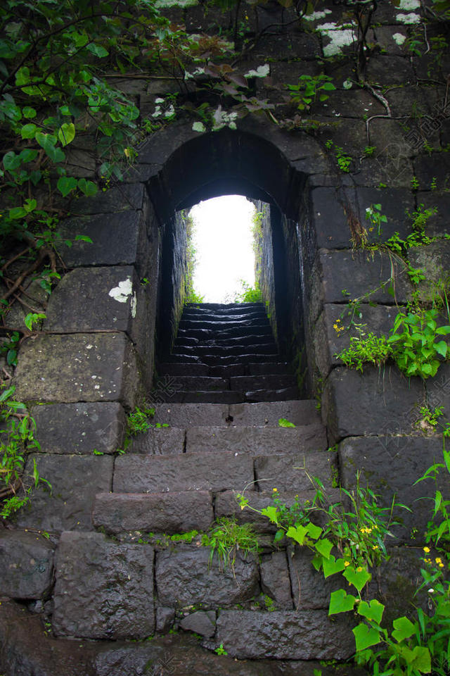 户外阶梯建筑岩石藤条树枝背景图片