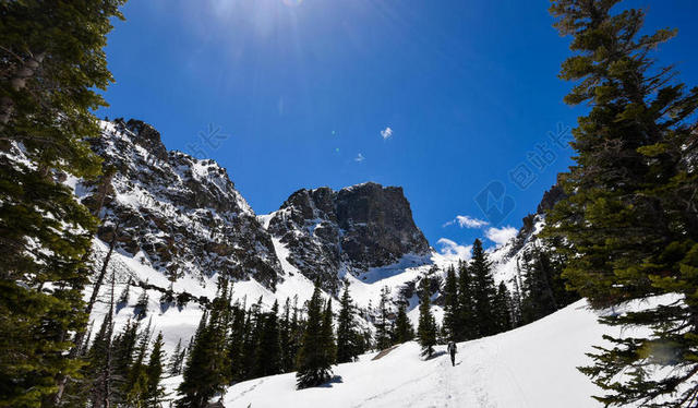 彩色自然清新明朗阳光蓝天下的雪山树林自然冬季背景图片