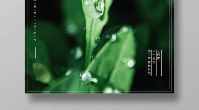 绿色简约清新二十四节气雨水节日海报