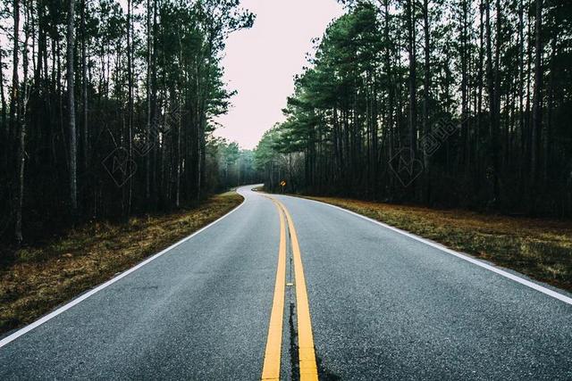 沥青 - 草 - 公路 - 景观 - 车道 - 道路 - 风景