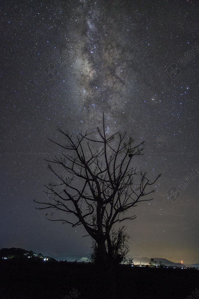 黑色夜景星光下一棵树背景图片