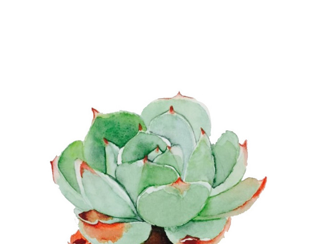 水彩多肉植物元素矢量