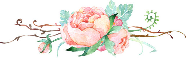 花卉花朵元素素材