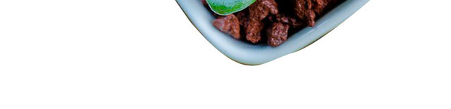 水彩多肉植物矢量PNG
