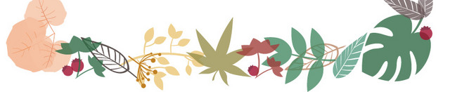 花朵方框装饰元素