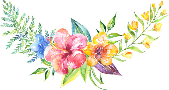 水彩花卉装饰元素