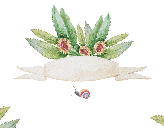 水彩花卉框素材