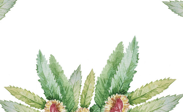 水彩花卉框素材