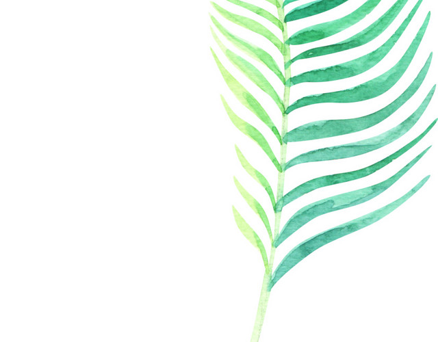 手绘棕榈叶素材