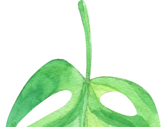 手绘水彩芭蕉叶素材