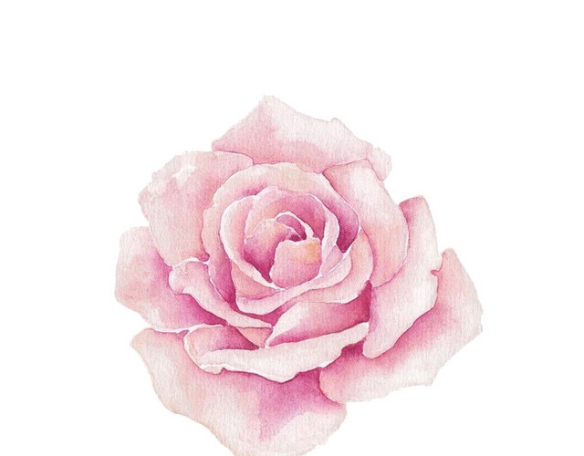 水彩花矢量素材