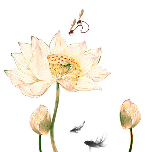 水彩荷花免抠素材