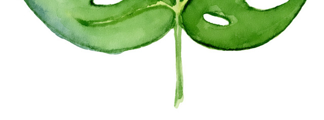 水彩植物叶子素材