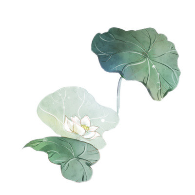 荷花素材