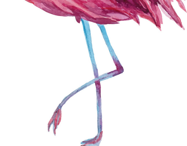 水彩动物火烈鸟PNG