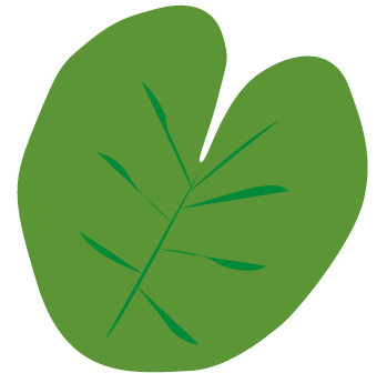 荷叶素材
