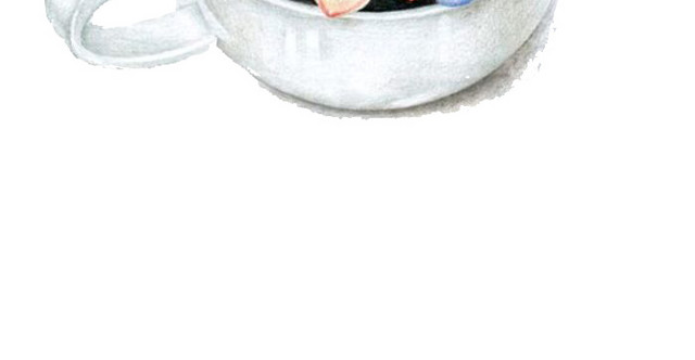 多肉盆栽素材