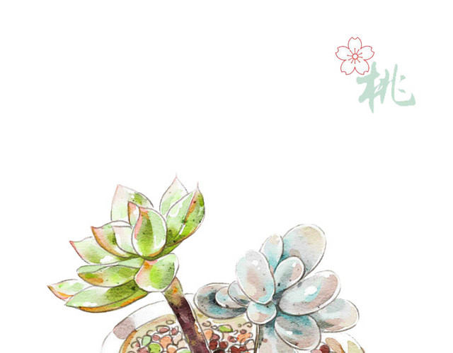 水彩植物多肉矢量PNG素材