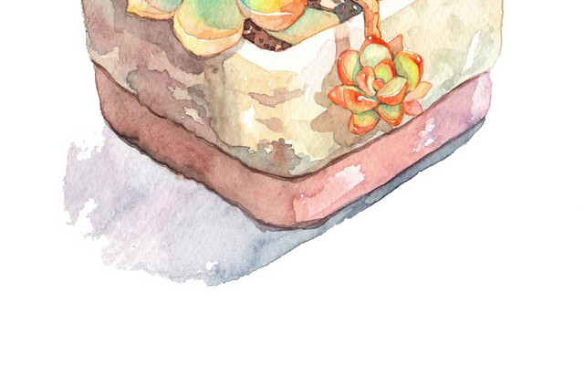 水彩彩色多肉盆栽元素