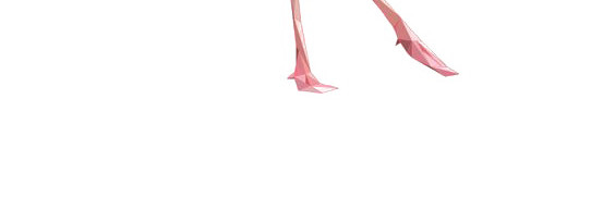 火烈鸟素材
