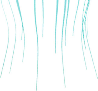 水彩水母矢量PNG