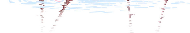 高清火烈鸟PNG