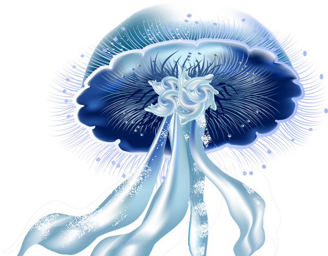 高清水母矢量PNG