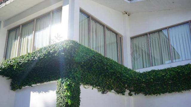 建筑学建筑物白色楼房绿色植物环绕公寓外部设计城市背景图片