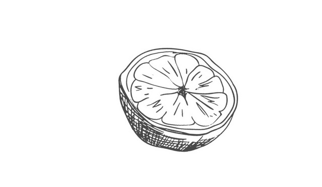 手绘橘子插画