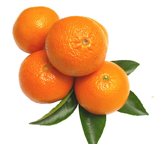 橘子水果素材