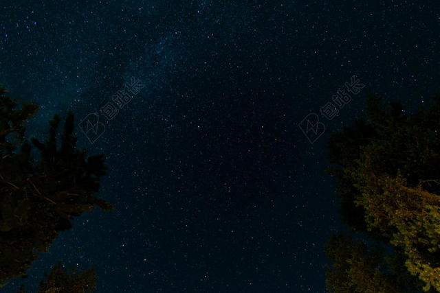 黑暗的夜天空星星树夜晚星空背景图片