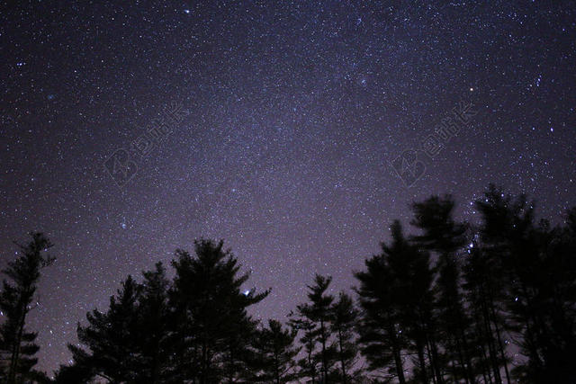 黑色自然景观植物星海星空天文背景图片