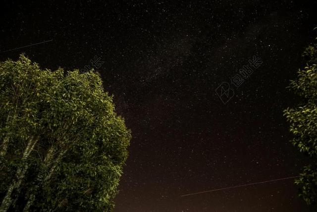自然夜幕下的公园背景图片