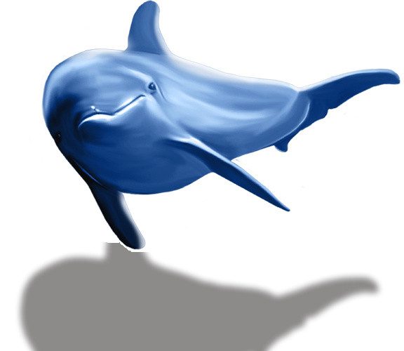 海豚