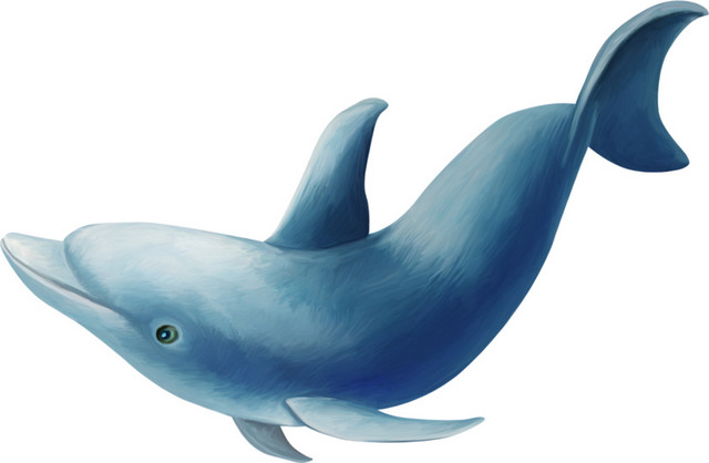 海豚