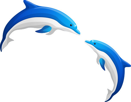 卡通 海豚 海洋生物