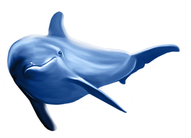 海豚